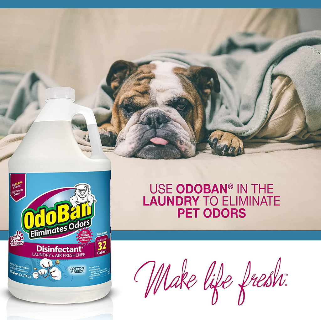 OdoBan Disinfectant Concentrate and Odor Eliminator - 4 Gallons, Cotton Breeze Scent