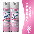 Lysol Disinfectant Spray - Sanitizing and Antibacterial Spray, Deodorizer, Early Morning Breeze, 19 oz (Pack of 2)