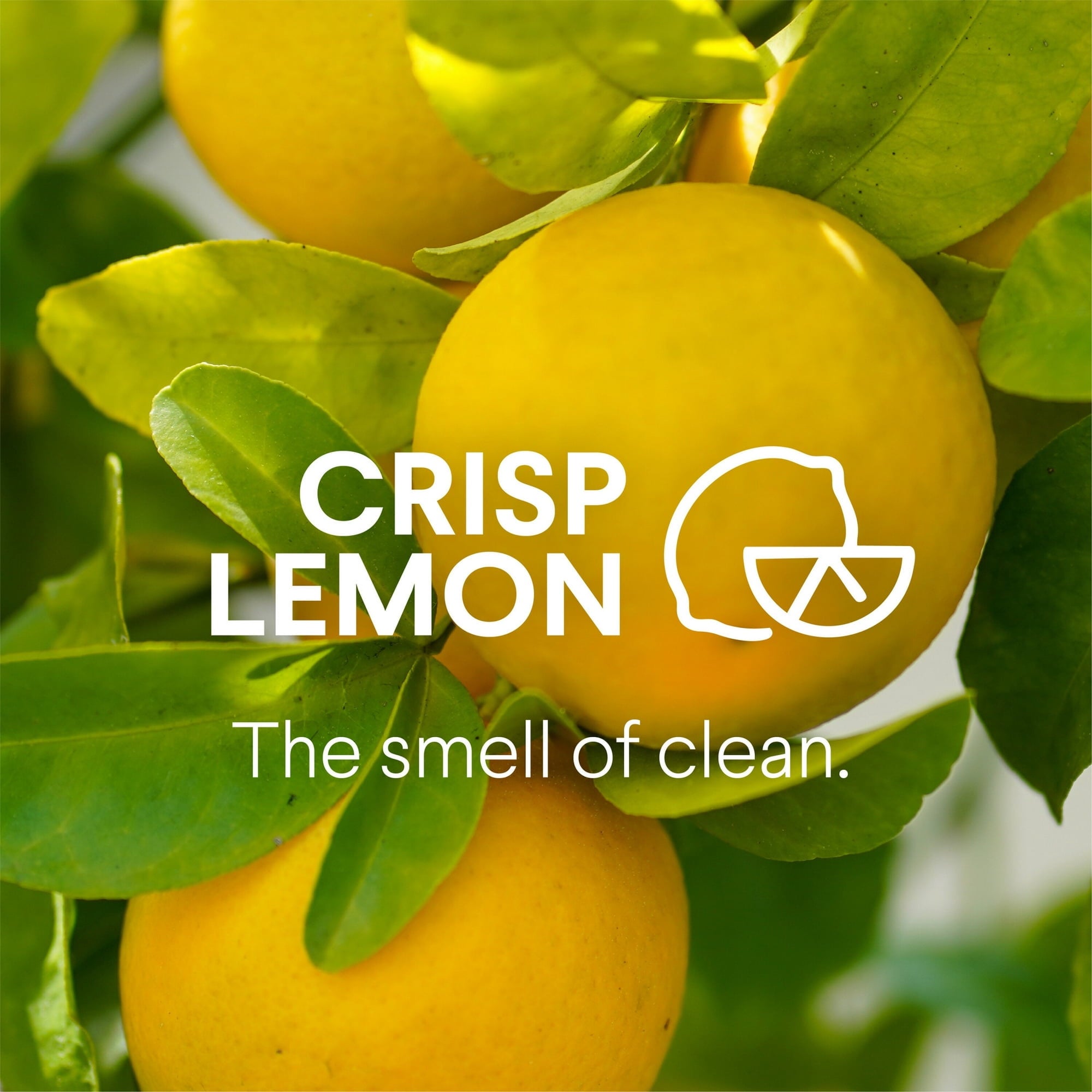 Clorox Disinfecting Bleach-Free All-Purpose Cleaner - Crisp Lemon, 32 fl oz 2 pack