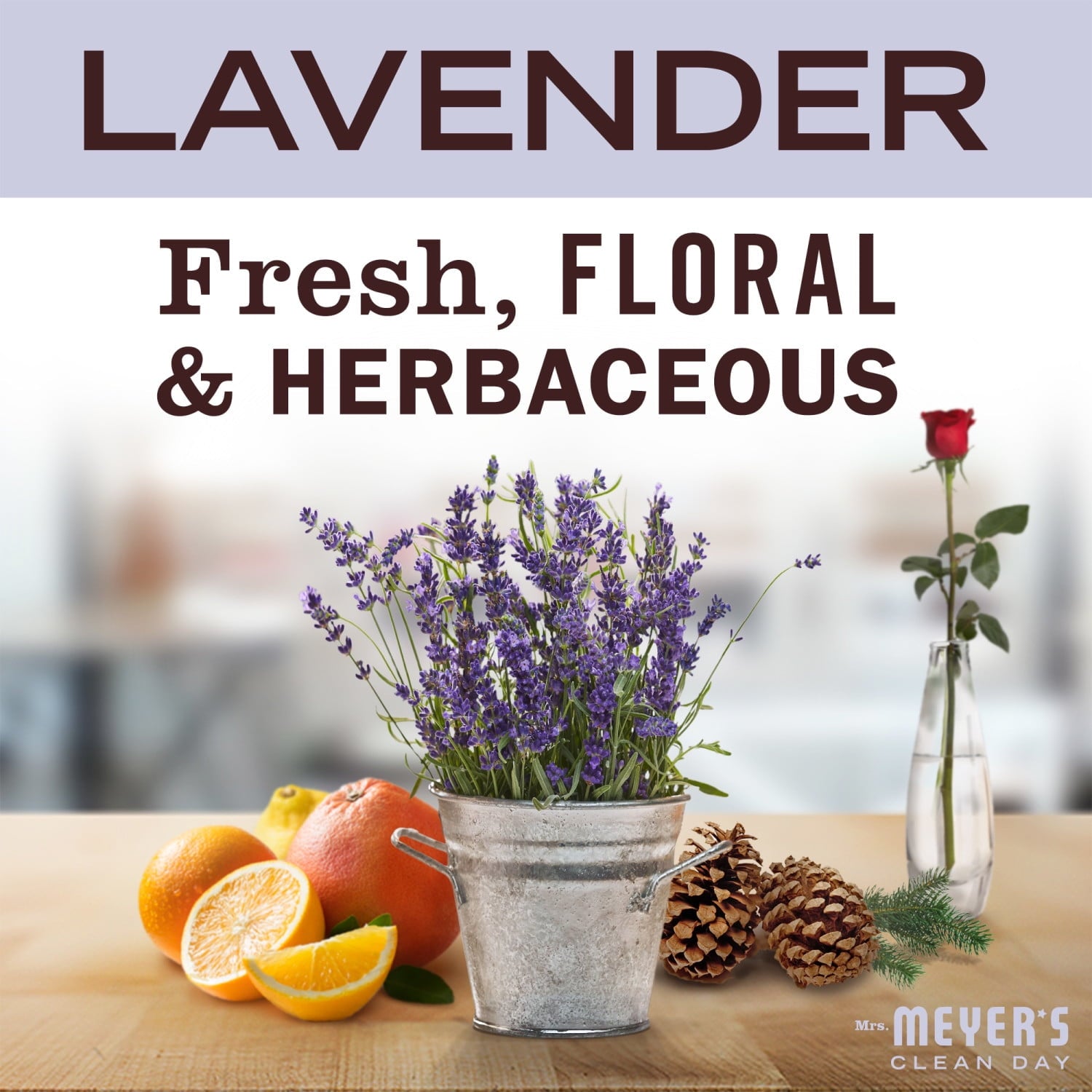 Mrs. Meyer's Clean Day Liquid Toilet Cleaner - Lavender, 24 Oz.