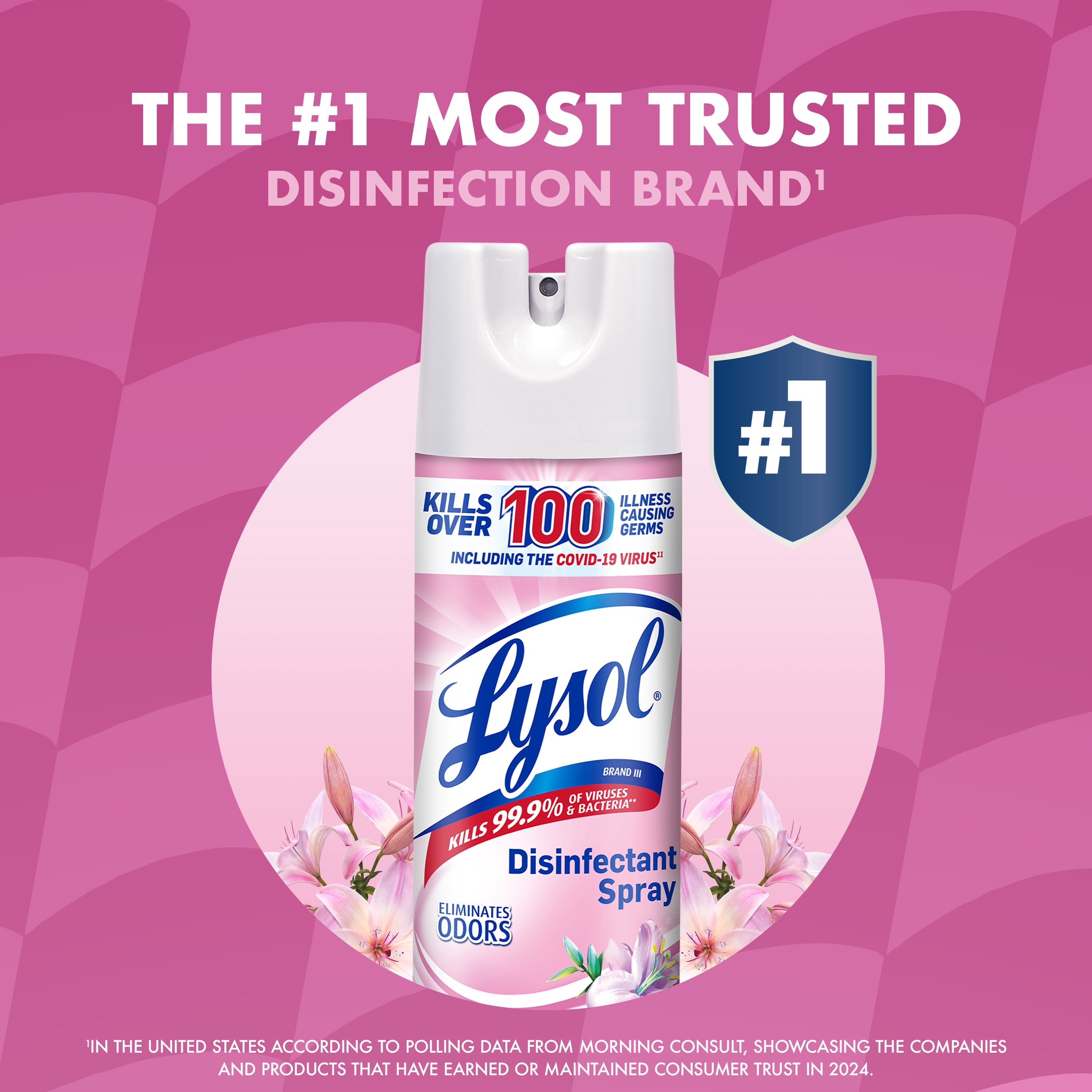 Lysol Disinfectant Spray - Sanitizing and Antibacterial Spray, Deodorizer, Early Morning Breeze, 19 oz (Pack of 2)