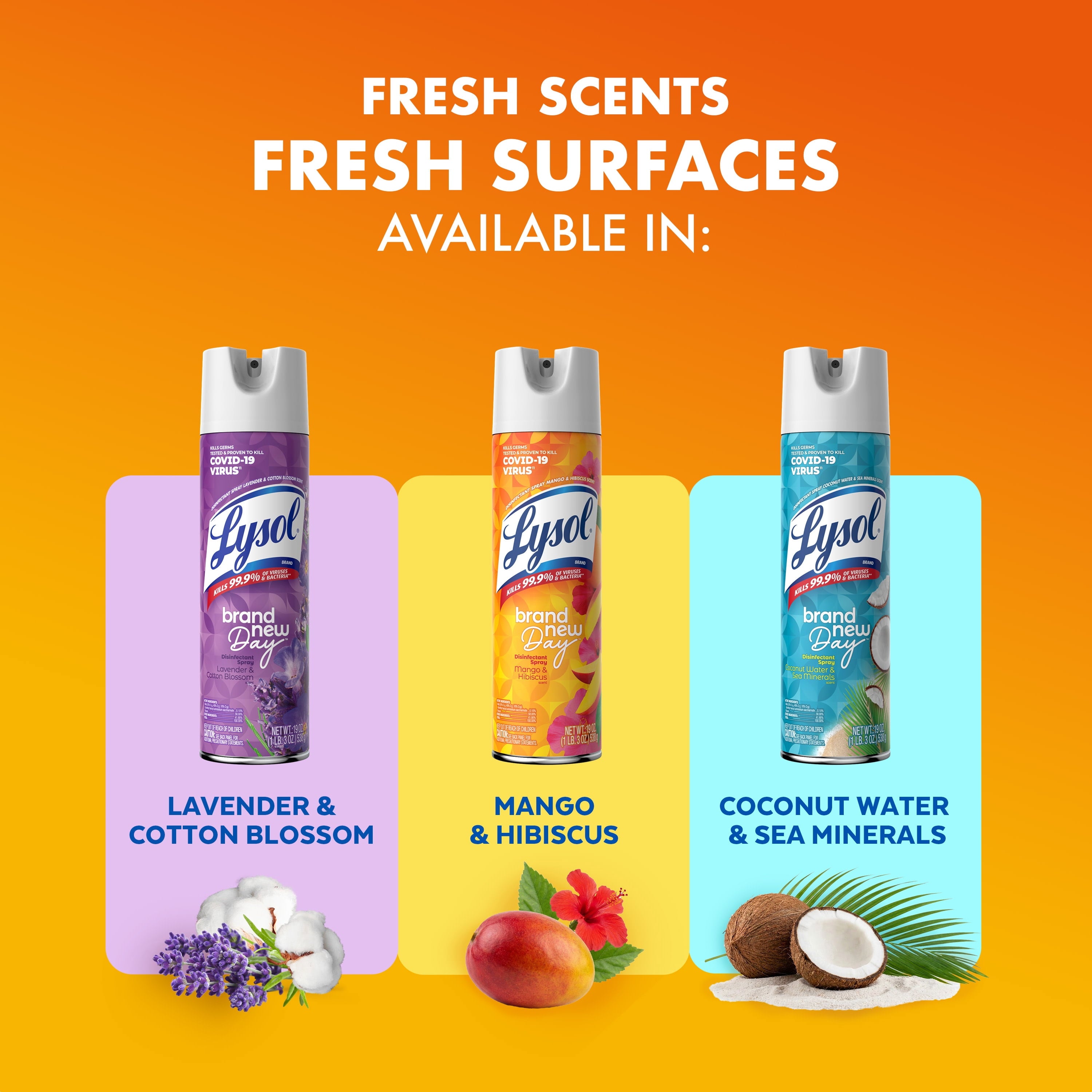 Lysol Brand New Day Disinfectant Spray - Sanitizing and Antibacterial Spray, Deodorizer, Mango & Hibiscus, 19 oz